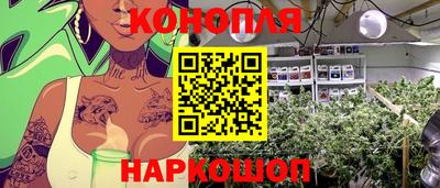 сатива Нальчик