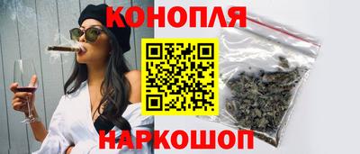сатива Нальчик
